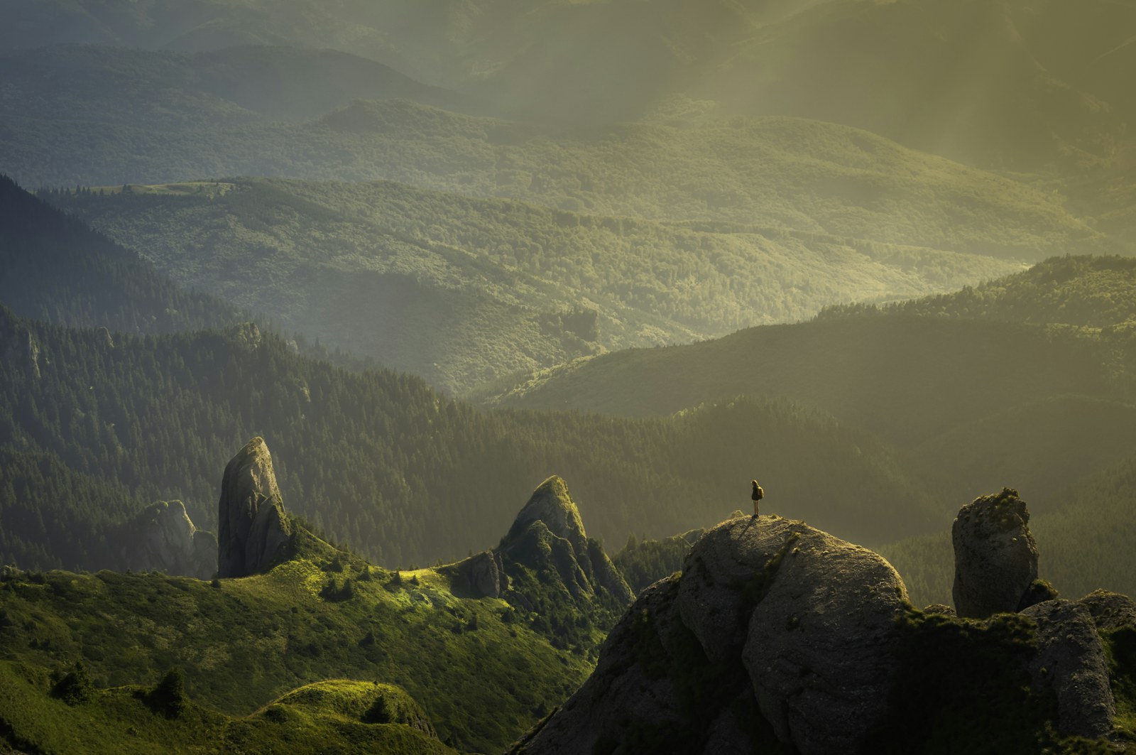 High dynamic range landscape sample